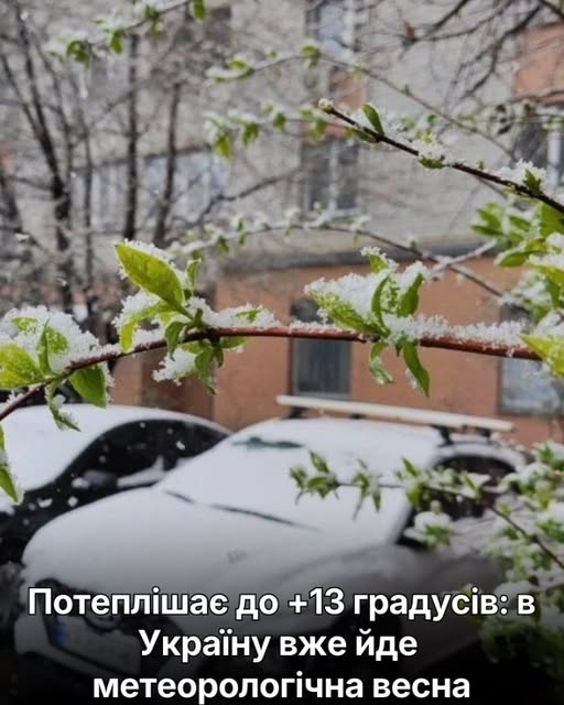 Потеплішає до +13 градусів: в Україну вже йде метеорологічна весна